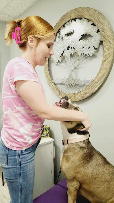 Lost Mountain Animal Chiropractic LLC 2