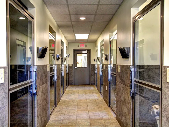 Brookstone Animal Hospital 5