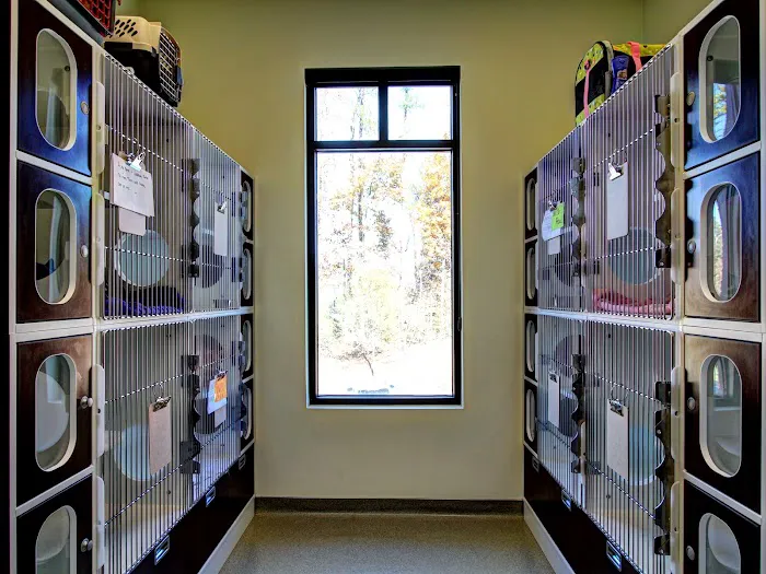 Brookstone Animal Hospital 4