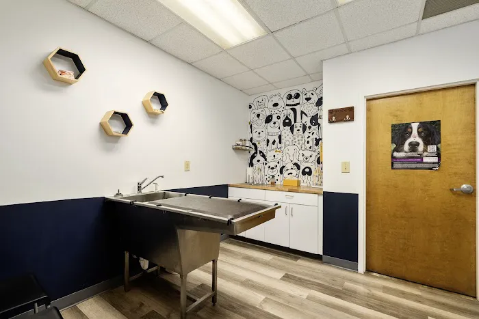 Kennesaw Pet Center 5