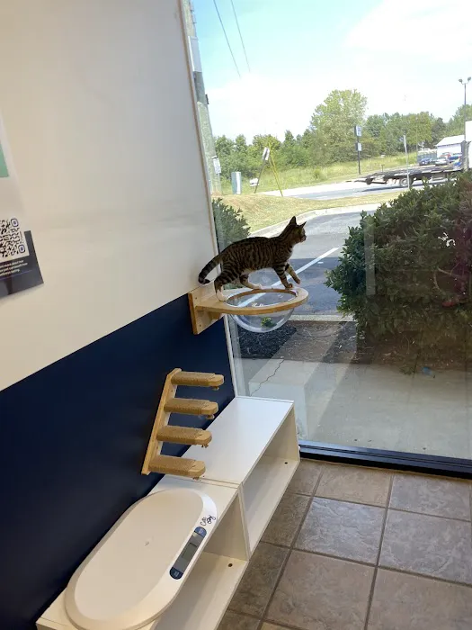Kennesaw Pet Center 8