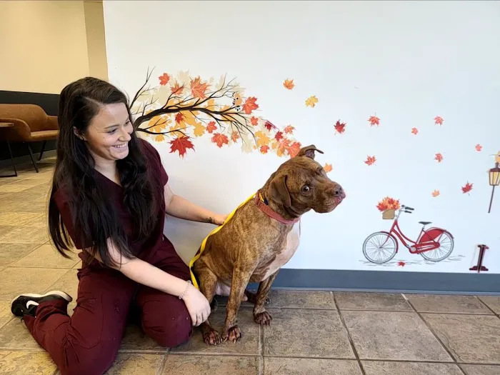 Kennesaw Pet Center 7