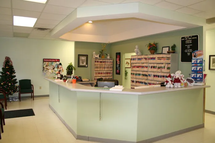 North Cobb Animal Hospital 12