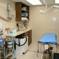 North Cobb Animal Hospital ico