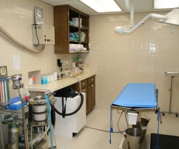 North Cobb Animal Hospital
