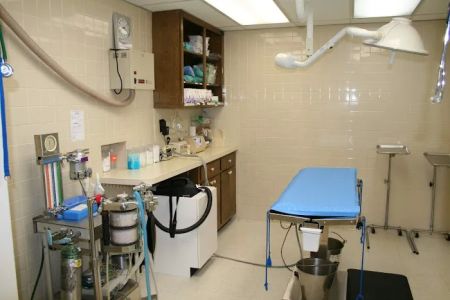 North Cobb Animal Hospital