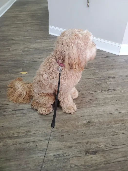 North Cobb Animal Hospital 12