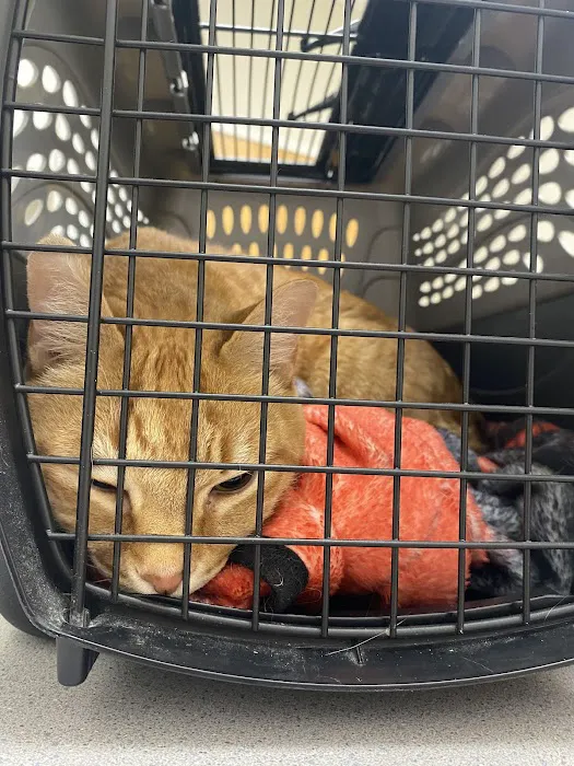 North Cobb Animal Hospital 12