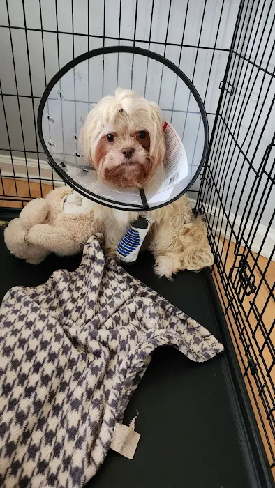 My Pet's Vet Kennesaw 12