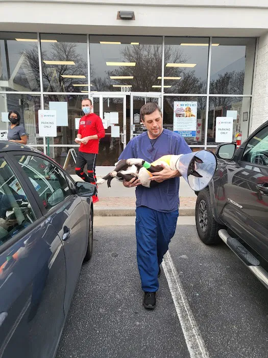 My Pet's Vet Kennesaw 12