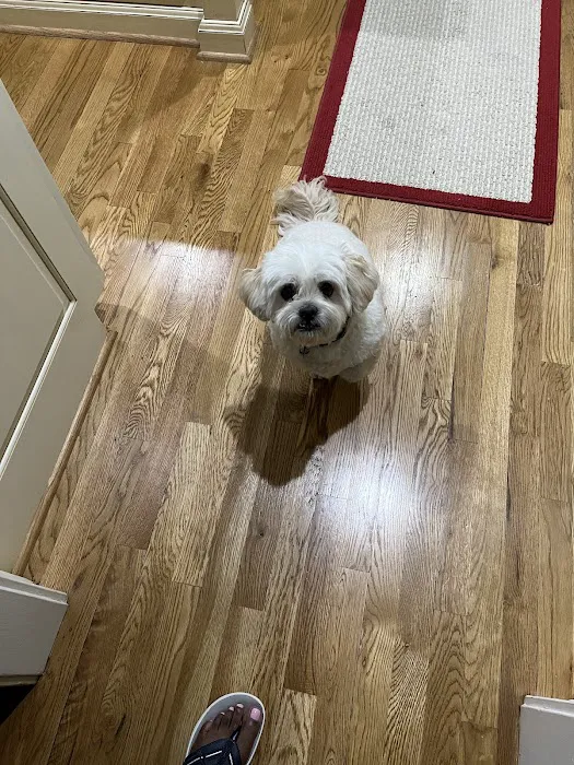 Banfield Pet Hospital 12