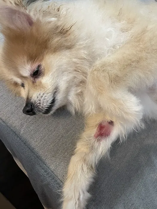 Banfield Pet Hospital 12