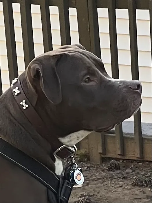 Banfield Pet Hospital 12