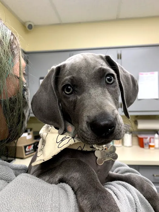 Shiloh Veterinary Hospital 12