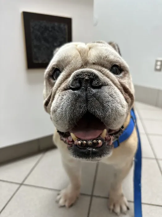 Butler Creek Animal Hospital 4