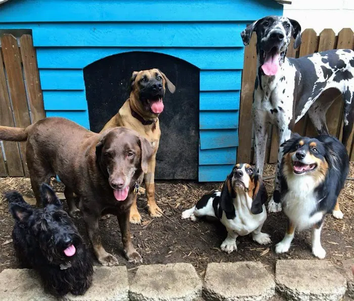 Butler Creek Animal Hospital 3