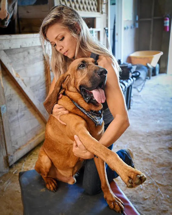 Butler Creek Animal Hospital 7