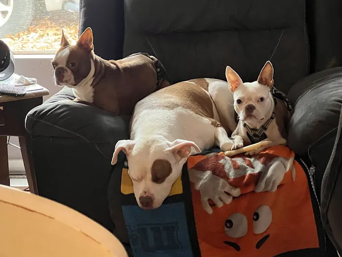 Banfield Pet Hospital 2