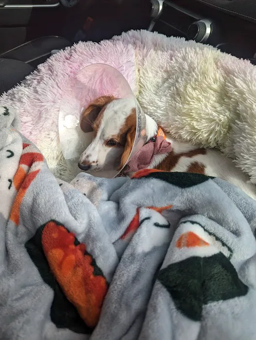 Banfield Pet Hospital 4