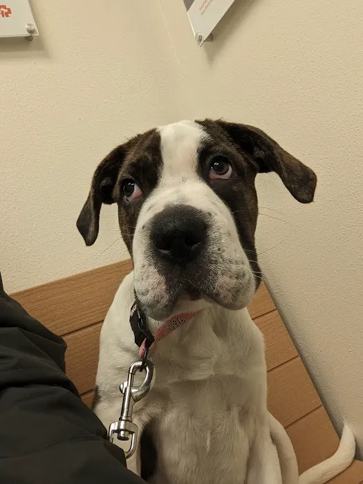 Banfield Pet Hospital 6