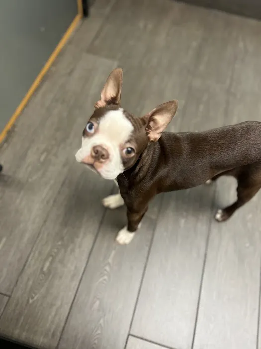 Banfield Pet Hospital 8
