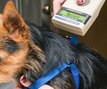 Acworth Animal Hospital