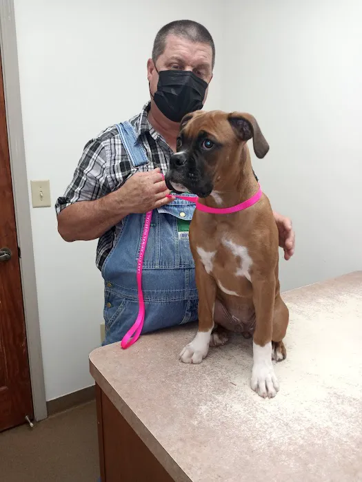 Lake City Animal Hospital 4