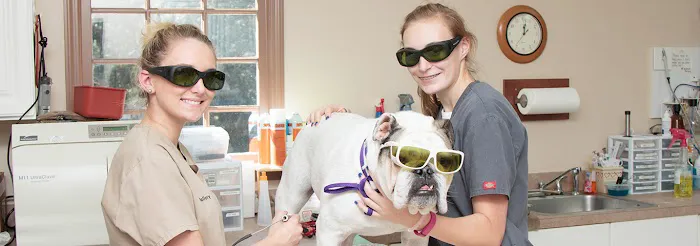 Lake City Animal Hospital 3