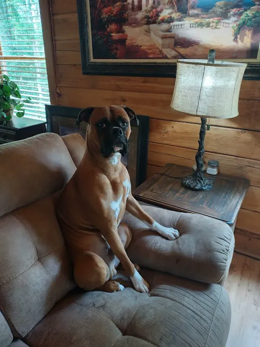 Lake City Animal Hospital 8