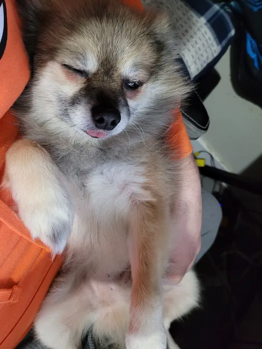 Banfield Pet Hospital 6