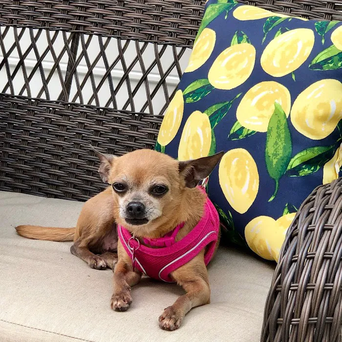 Mabry Animal Hospital 12