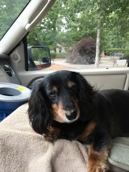 Mabry Animal Hospital 12