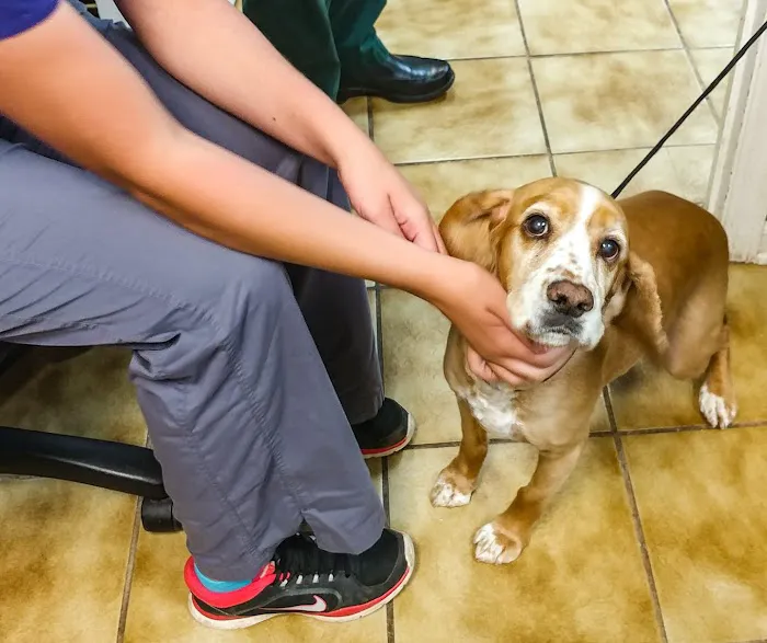 Mountain Park Plaza Animal Hospital 12