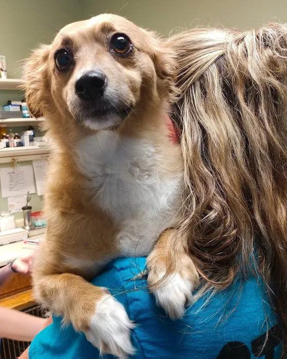 Mountain Park Plaza Animal Hospital 12