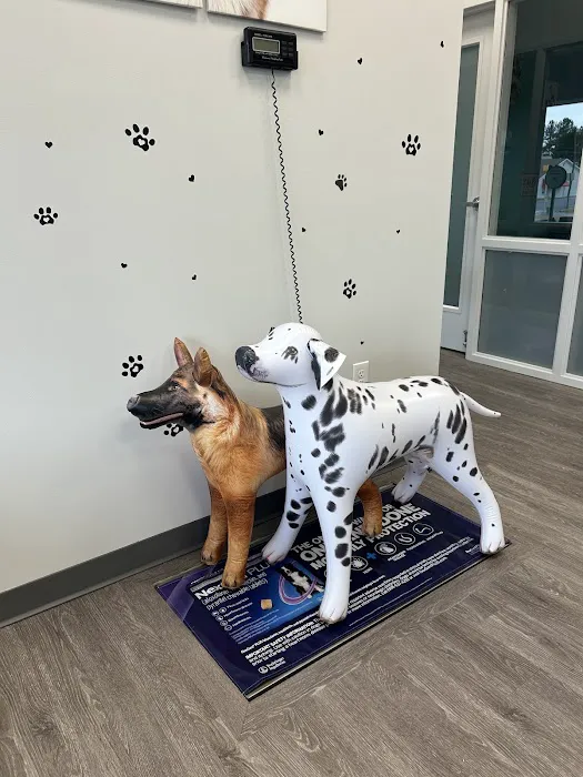 Just For Pets Animal Hospital 1