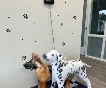 Just For Pets Animal Hospital