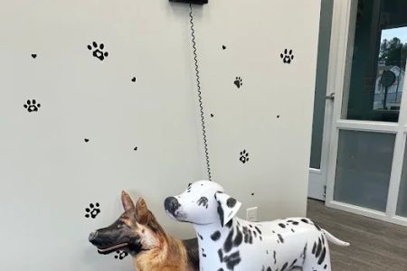 Just For Pets Animal Hospital