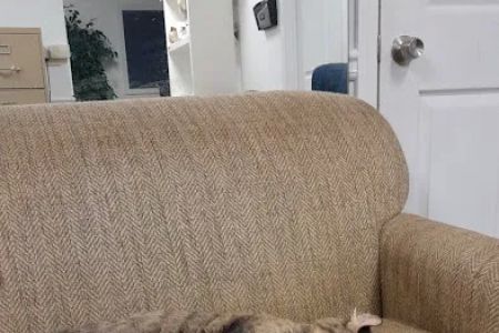VCA Roswell Animal Hospital