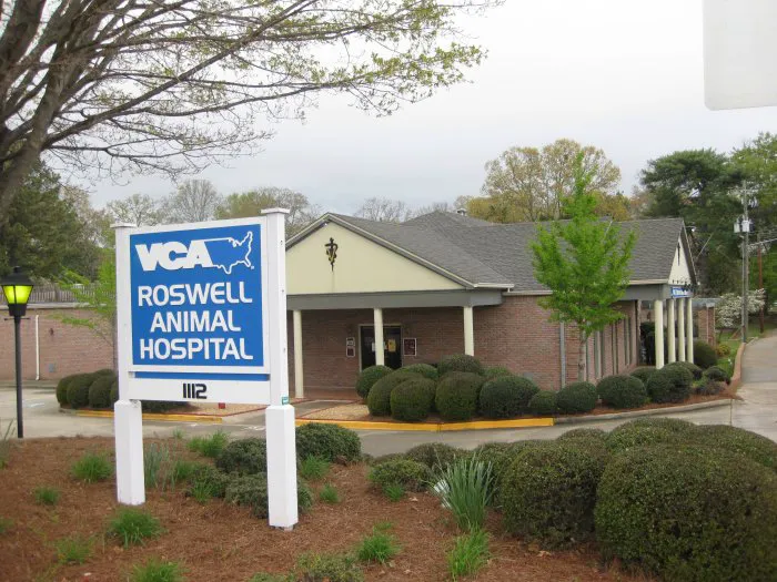 VCA Roswell Animal Hospital 12
