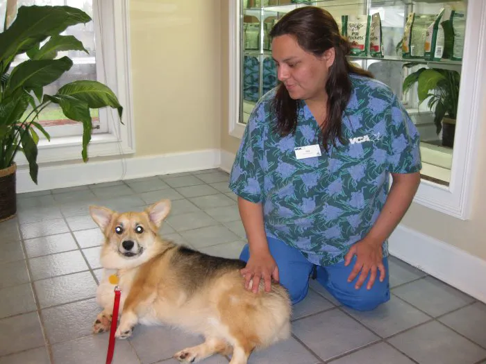 VCA Roswell Animal Hospital 12