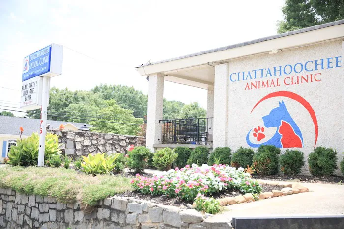 Chattahoochee Animal Clinic 12