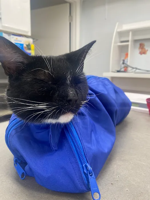 Happy Tails Holistic Veterinary Care 12