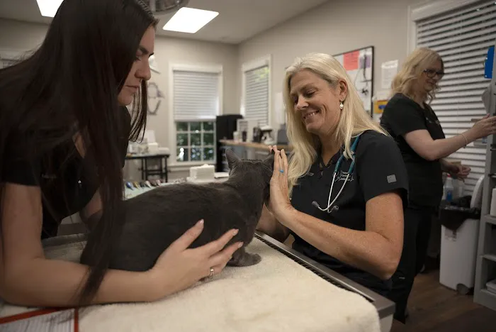 Veterinary Dental Center of Atlanta 12