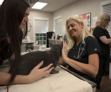 Veterinary Dental Center of Atlanta