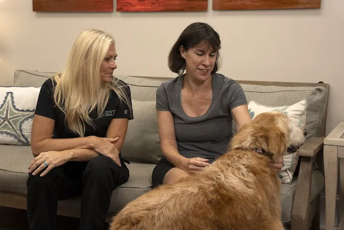 Veterinary Dental Center of Atlanta 12
