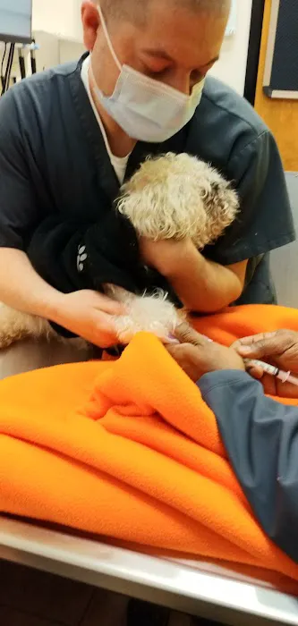 Banfield Pet Hospital 12