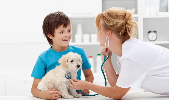 The Pet Hospital of Woodstock 12