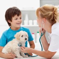 The Pet Hospital of Woodstock ico