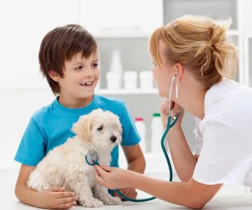 The Pet Hospital of Woodstock