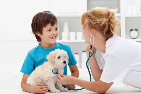 The Pet Hospital of Woodstock